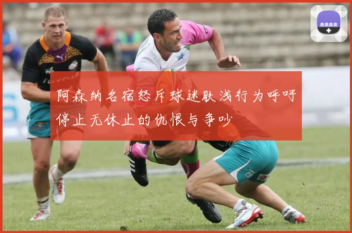阿森纳名宿怒斥球迷肤浅行为呼吁停止无休止的仇恨与争吵