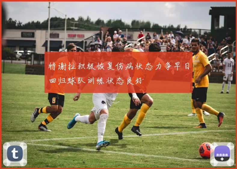 特谢拉积极恢复伤病状态力争早日回归球队训练状态良好