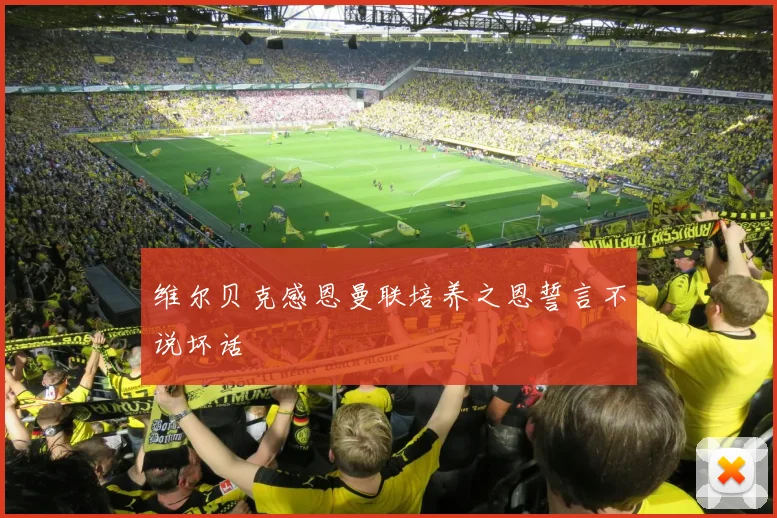 维尔贝克感恩曼联培养之恩誓言不说坏话